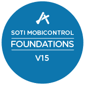 Foundations-v15-large Foundations-v15-large